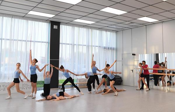 Образцовый ансамбль танца "Мозаика"